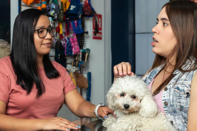 Como Escolher a Melhor Loja de Pet Shop para Seu Animal de Estimação Como Escolher a Melhor Loja de Pet Shop para Seu Animal de Estimação