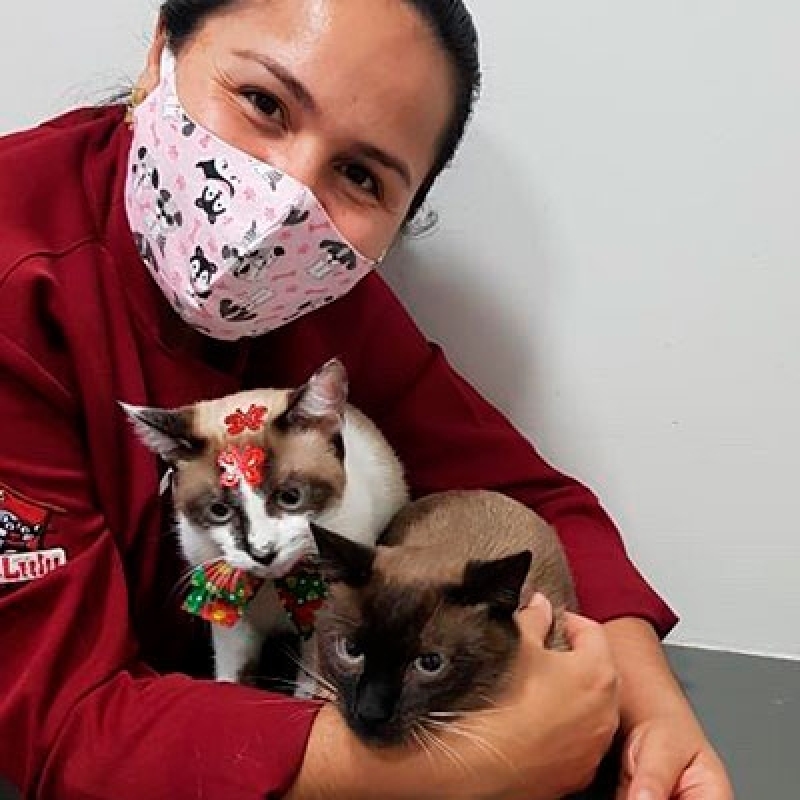 Clínica Veterinária para Gatos Guará - Clínica Veterinária