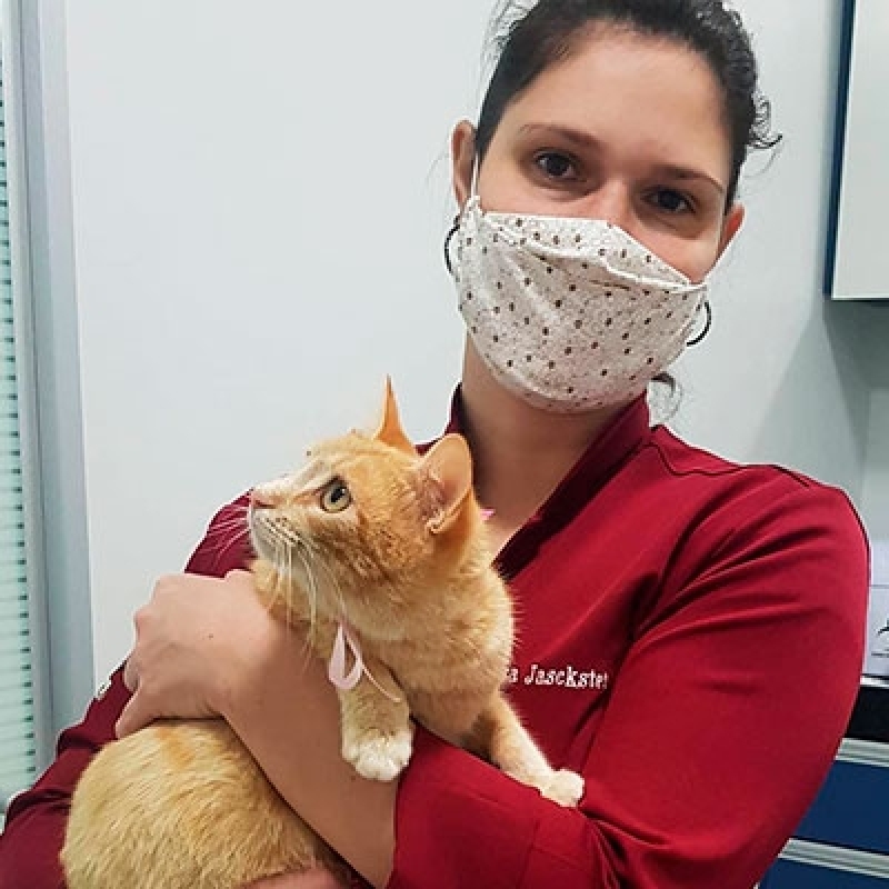 Clínica Veterinária Perto de Mim Samambaia - Clínica Veterinária Cães e Gatos