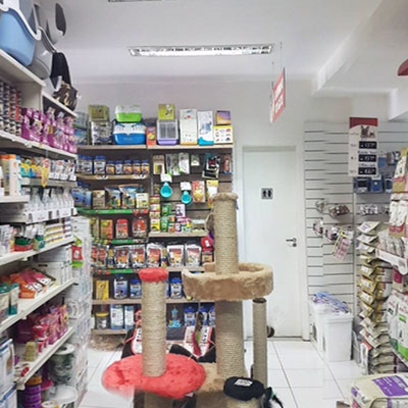 Endereço de Pet Shop Gato Cruzeiro Velho - Pet Shop Loja