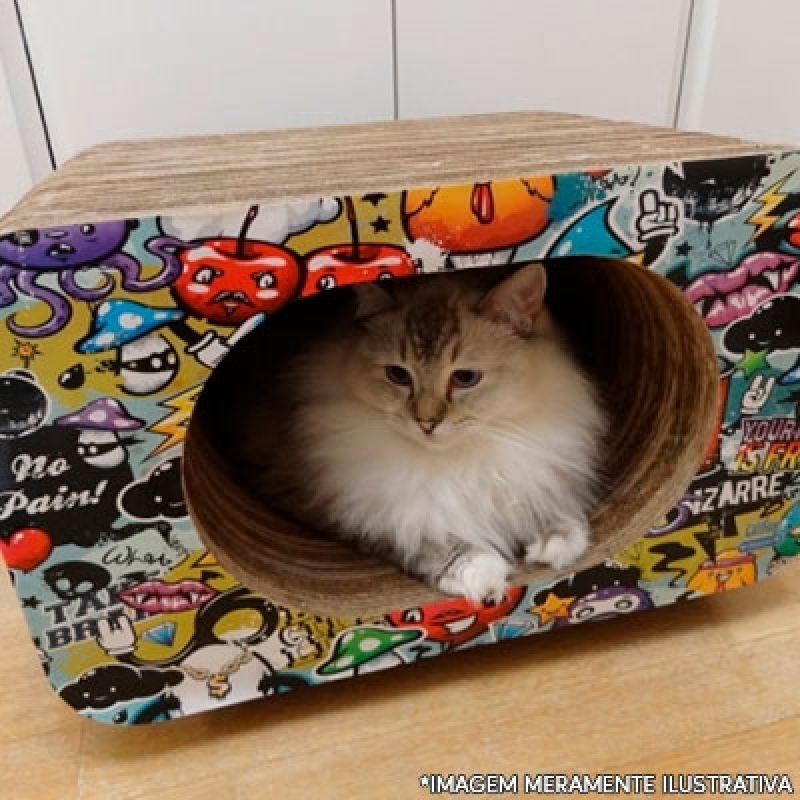 Loja Animal Pet Shop Brazlândia - Pet Shop Gato