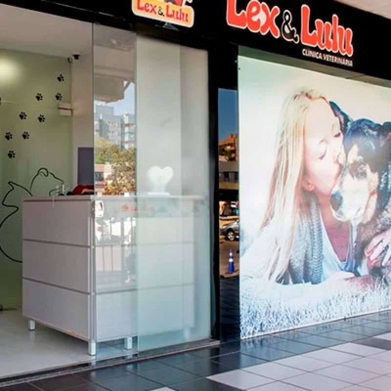 Onde Encontrar Clínica Veterinária e Pet Shop Guará - Clínica Veterinária Cães e Gatos