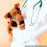 clínica para cirurgia de catarata cachorro Cruzeiro Velho
