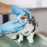 clínica veterinária cães e gatos telefone Itapoã